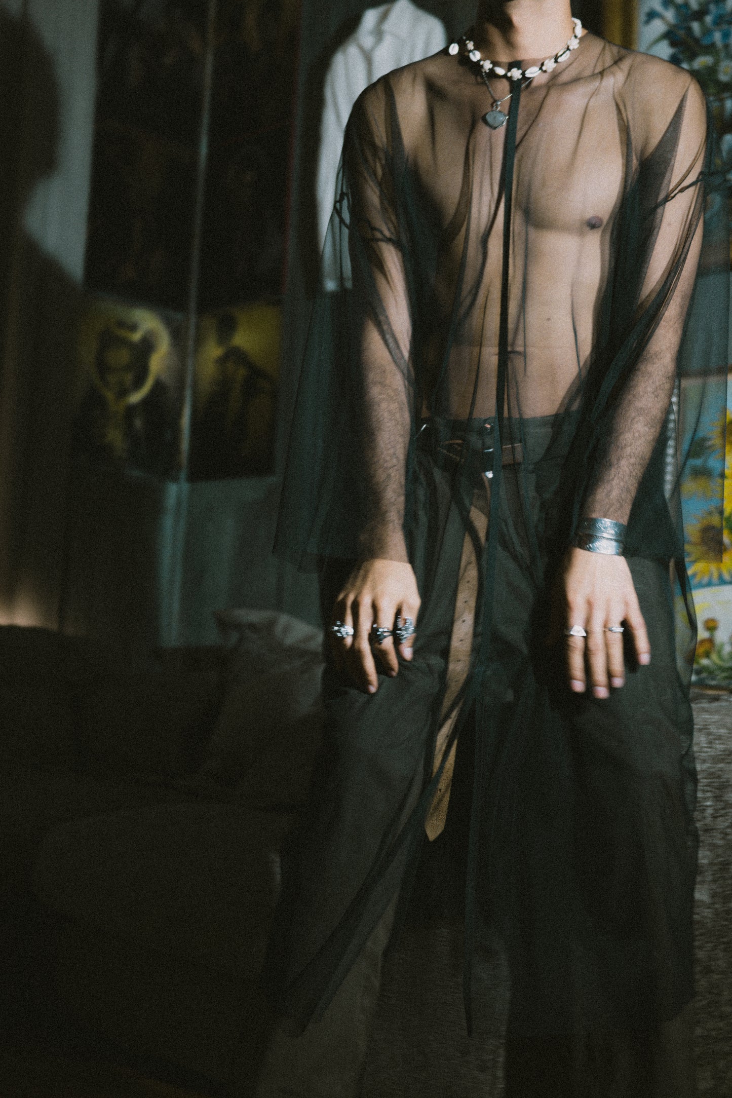 The Transparent LongSleeve Dress