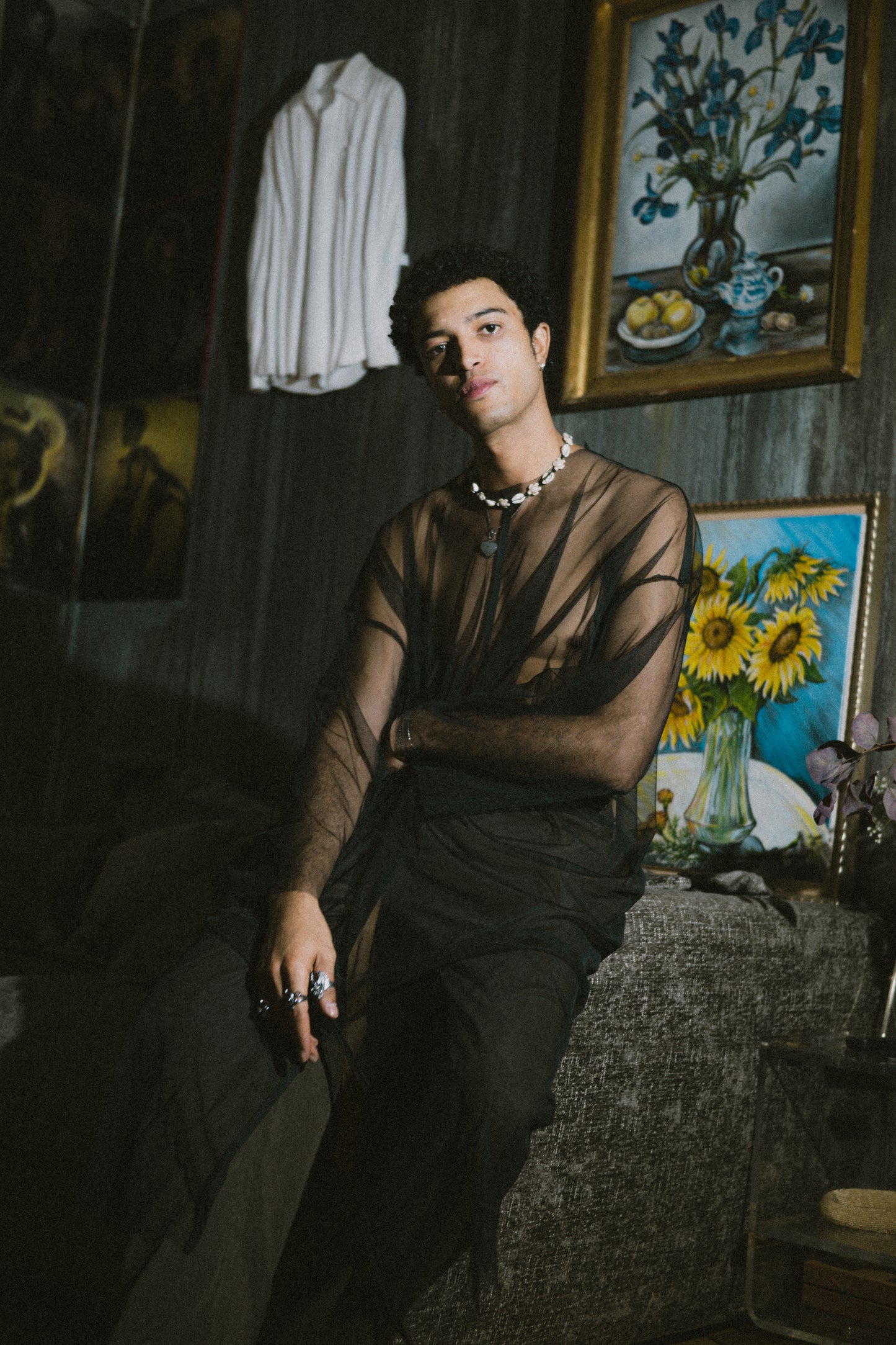 The Transparent LongSleeve Dress