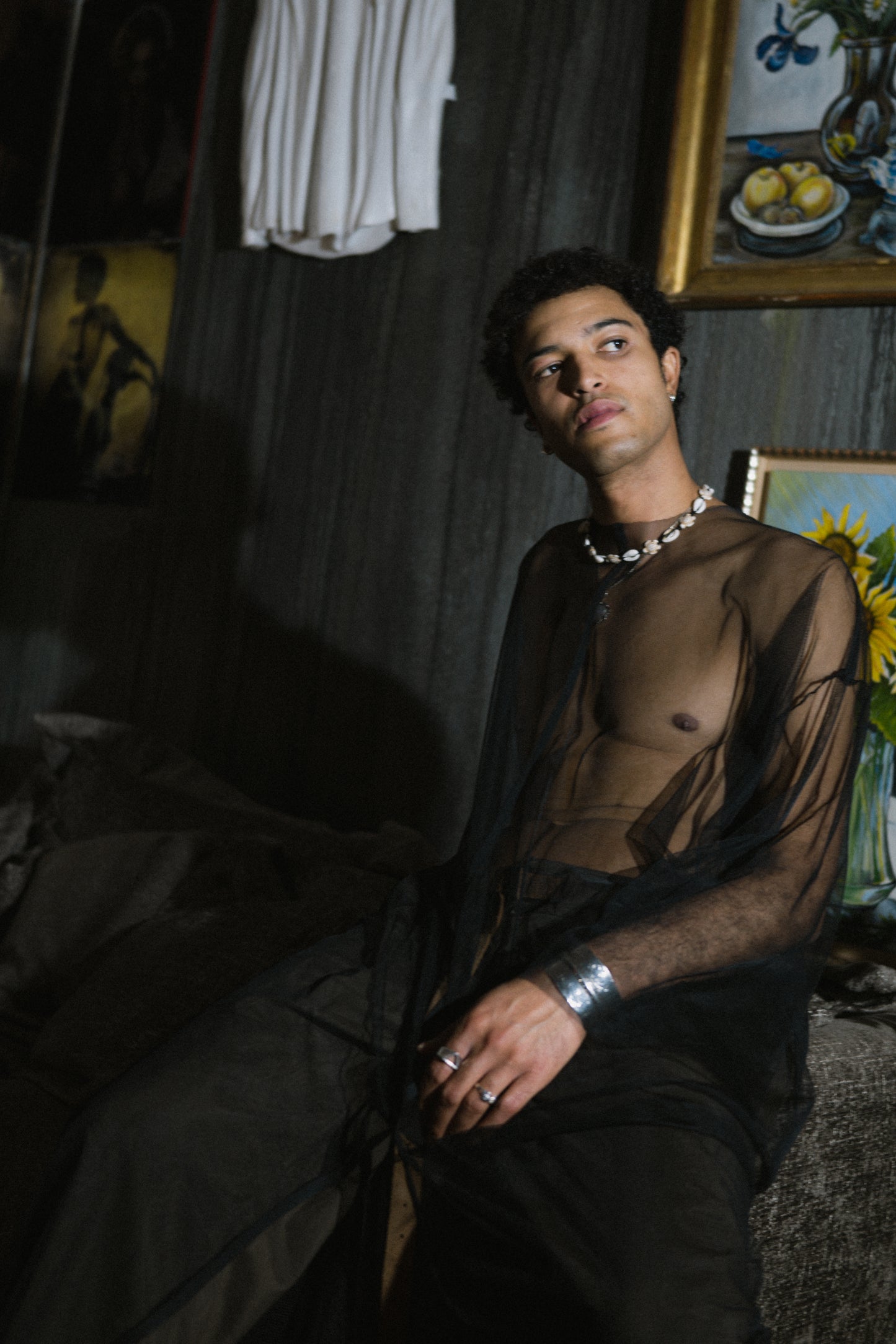 The Transparent LongSleeve Dress