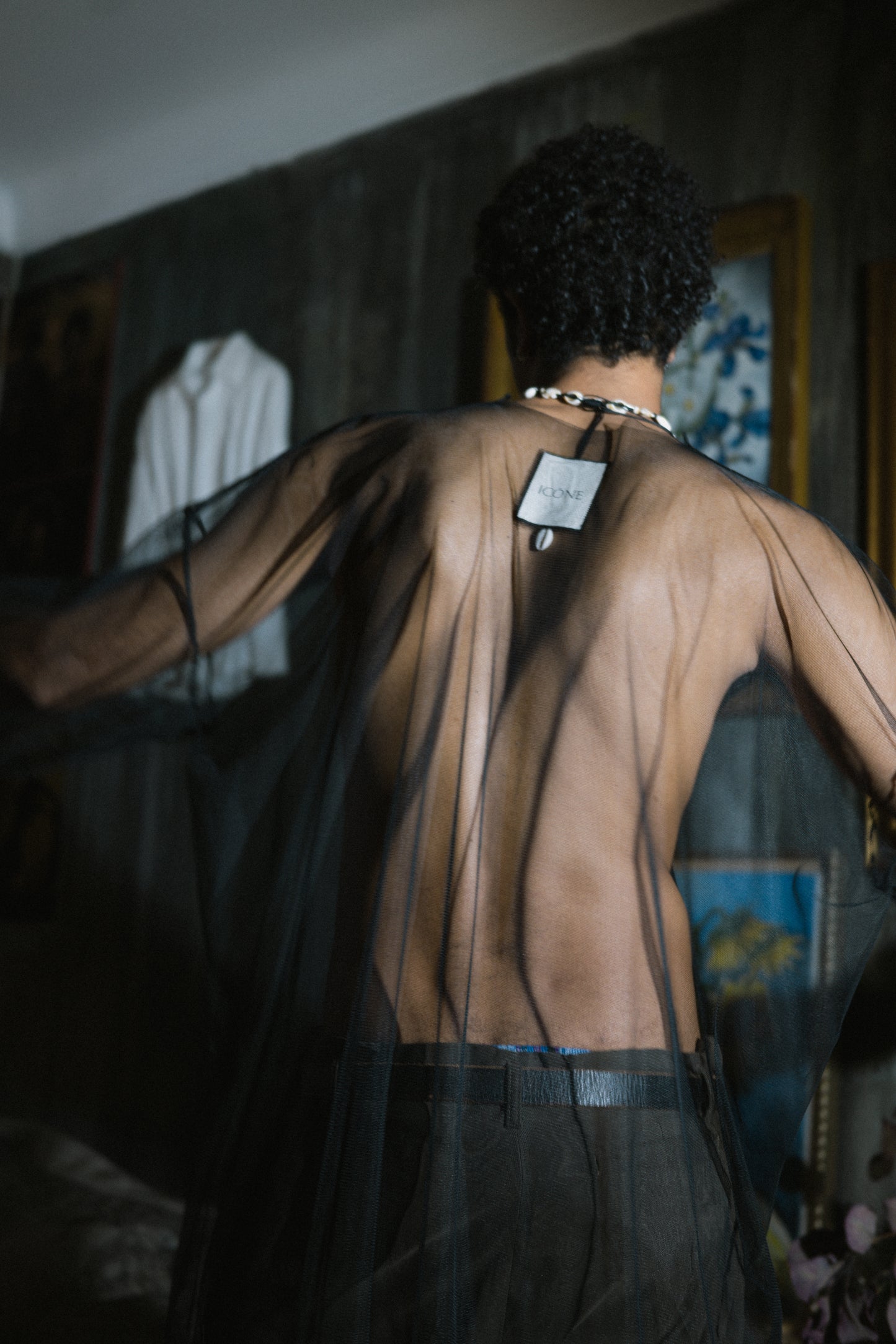 The Transparent LongSleeve Dress