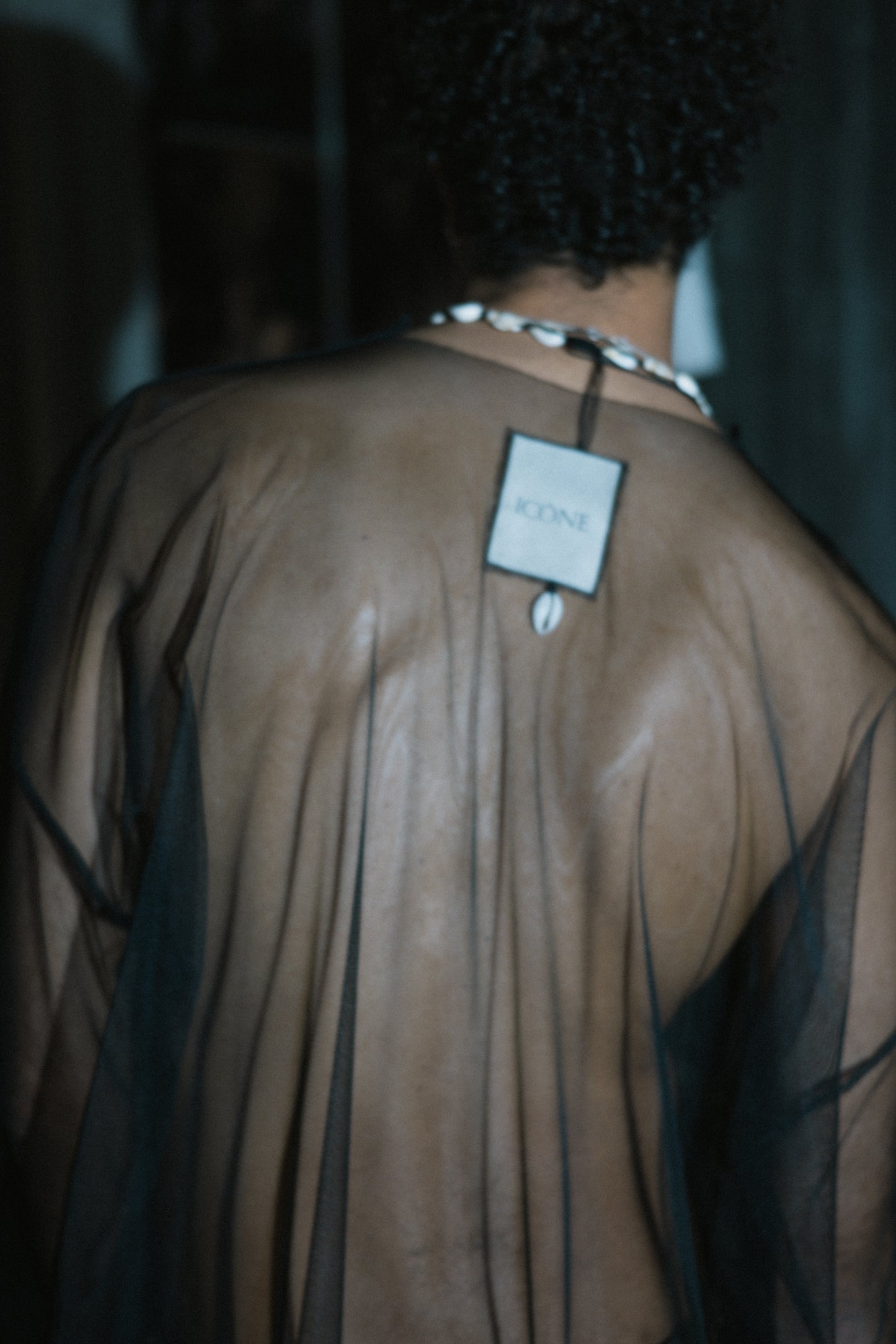 The Transparent LongSleeve Dress