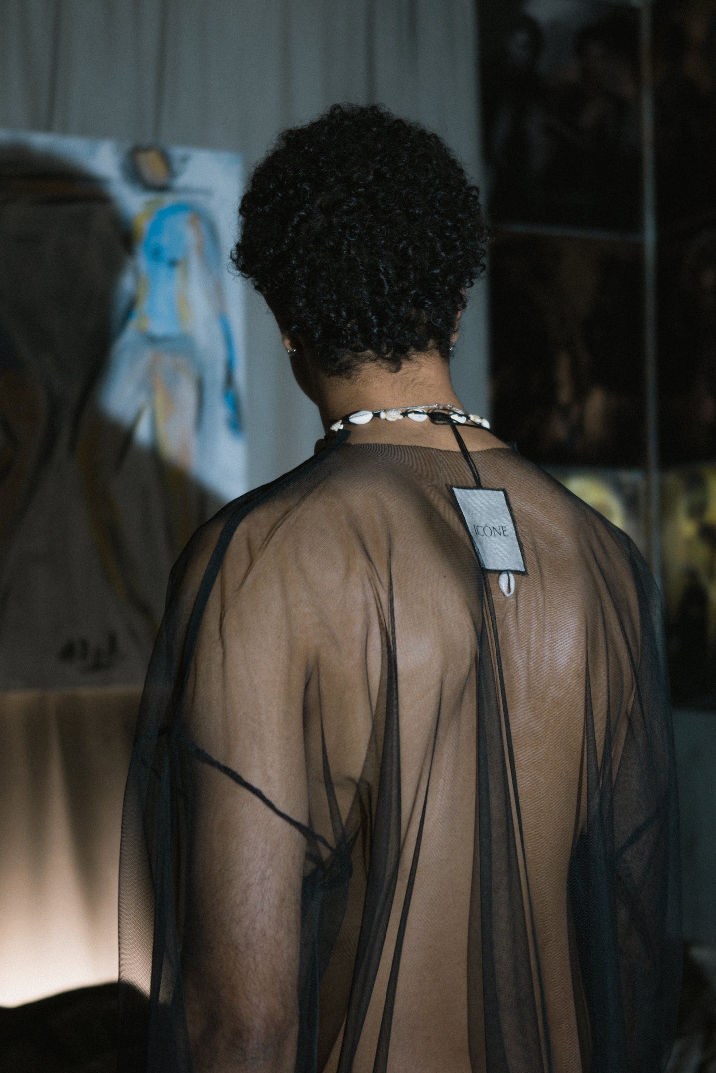 The Transparent LongSleeve Dress